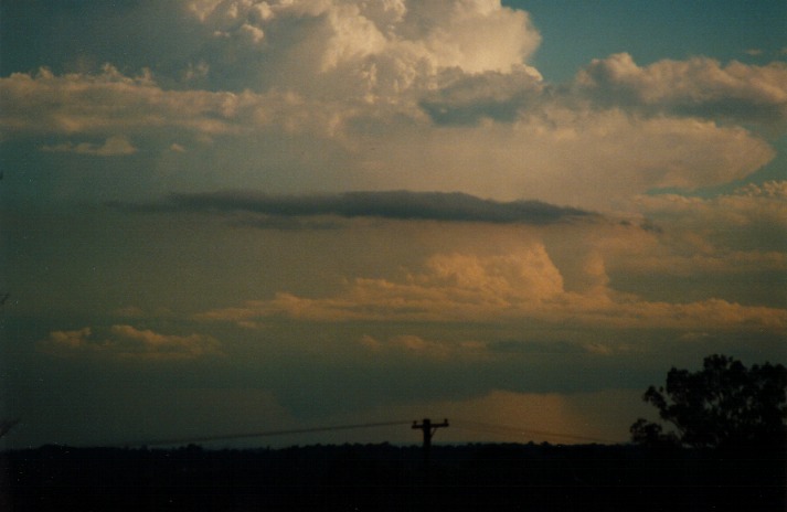 thunderstorm cumulonimbus_incus : Schofields, NSW   9 March 2000