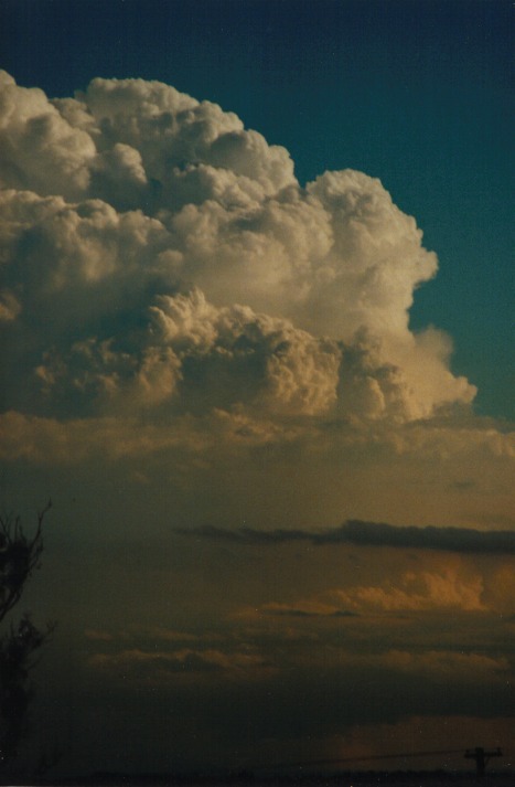 wallcloud thunderstorm_wall_cloud : Schofields, NSW   9 March 2000