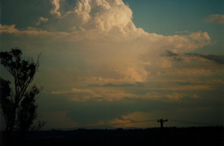 wallcloud thunderstorm_wall_cloud : Schofields, NSW   9 March 2000