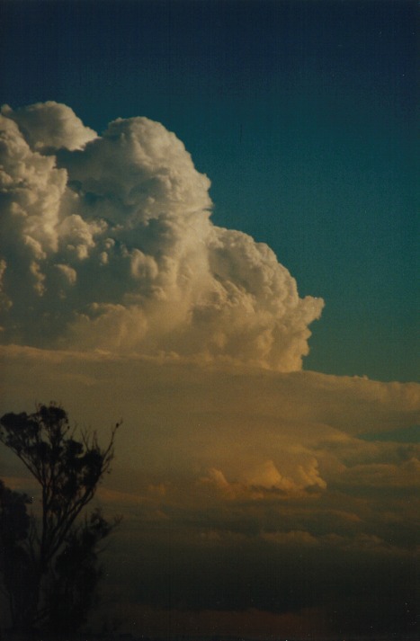 thunderstorm cumulonimbus_incus : Schofields, NSW   9 March 2000