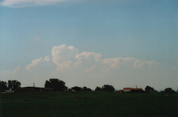 thunderstorm cumulonimbus_calvus : Denman, NSW   19 March 2000