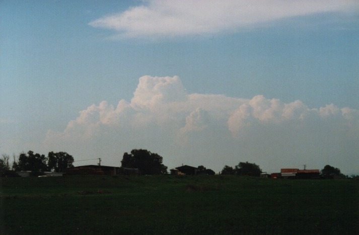 thunderstorm cumulonimbus_calvus : Denman, NSW   19 March 2000