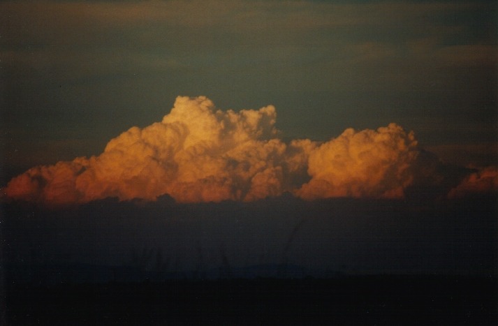 thunderstorm cumulonimbus_calvus : Spring Ridge, NSW   1 April 2000