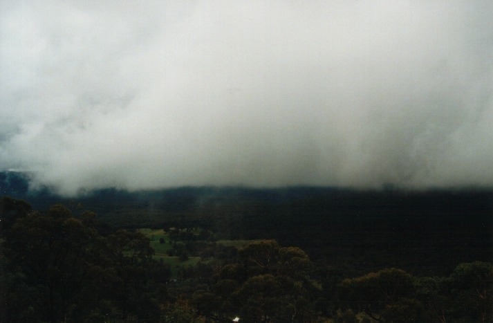 fogmist fog_mist_frost : near Capertee, NSW   2 April 2000