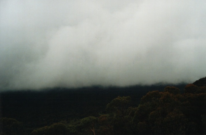 fogmist fog_mist_frost : near Capertee, NSW   2 April 2000