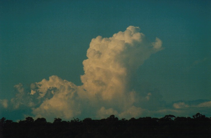 thunderstorm cumulonimbus_calvus : Schofields, NSW   15 April 2000