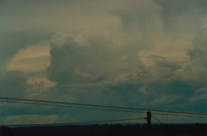 thunderstorm cumulonimbus_calvus : Schofields, NSW   16 April 2000