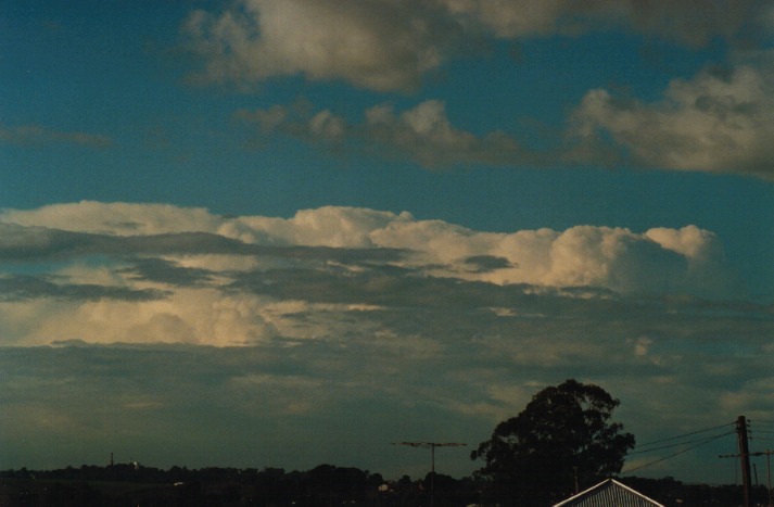 altocumulus altocumulus_cloud : Schofields, NSW   19 April 2000