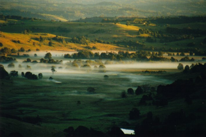 fogmist fog_mist_frost : McLeans Ridges, NSW   15 May 2000