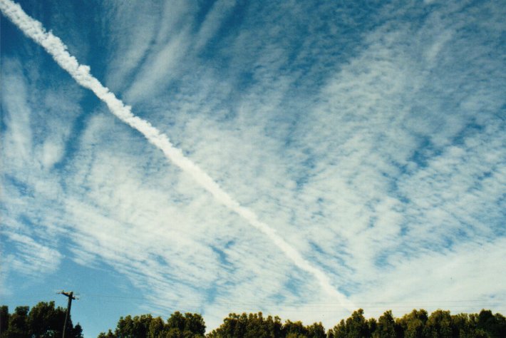 altocumulus altocumulus_cloud : McLeans Ridges, NSW   16 May 2000