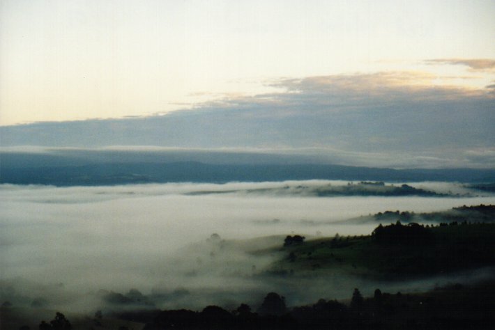 fogmist fog_mist_frost : McLeans Ridges, NSW   17 May 2000