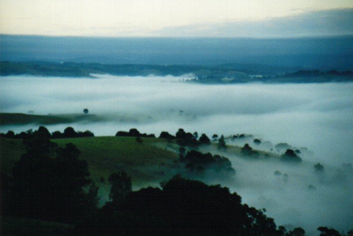 fogmist fog_mist_frost : McLeans Ridges, NSW   17 May 2000