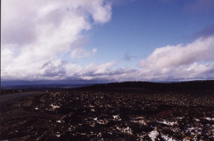 contributions received : Shooters Hill, NSW<BR>Photo by Jeff Brislane   27 May 2000