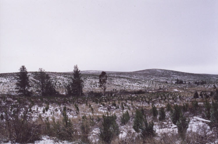 contributions received : Oberon region, NSW<BR>Photo by Jeff Brislane   28 May 2000