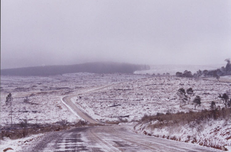 contributions received : Oberon region, NSW<BR>Photo by Jeff Brislane   28 May 2000