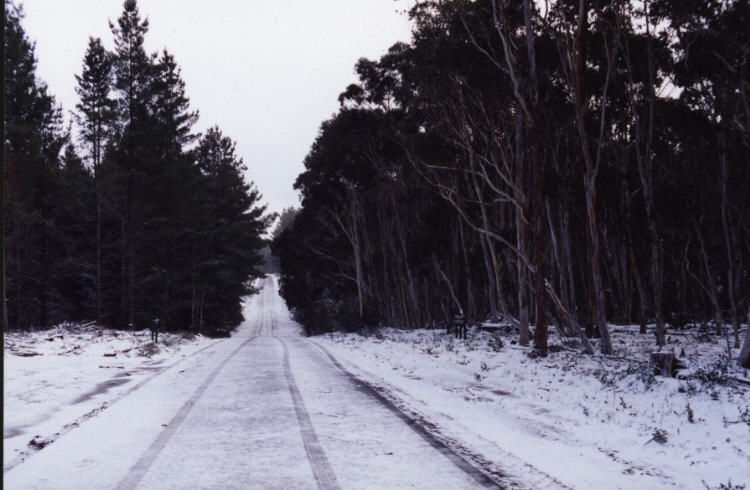 contributions received : Shooters Hill, NSW<BR>Photo by Jeff Brislane   28 May 2000