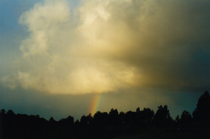 cumulus mediocris : McLeans Ridges, NSW   12 June 2000