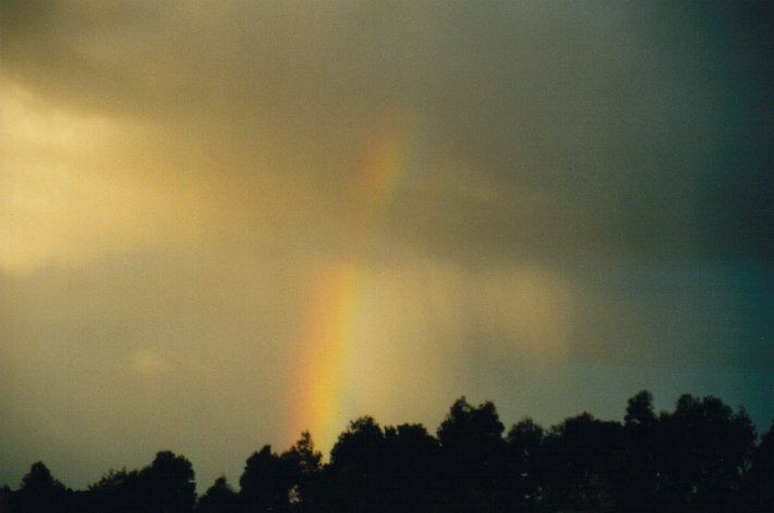 raincascade precipitation_cascade : McLeans Ridges, NSW   12 June 2000