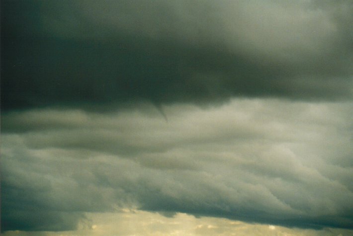 cumulonimbus thunderstorm_base : McLeans Ridges, NSW   16 June 2000
