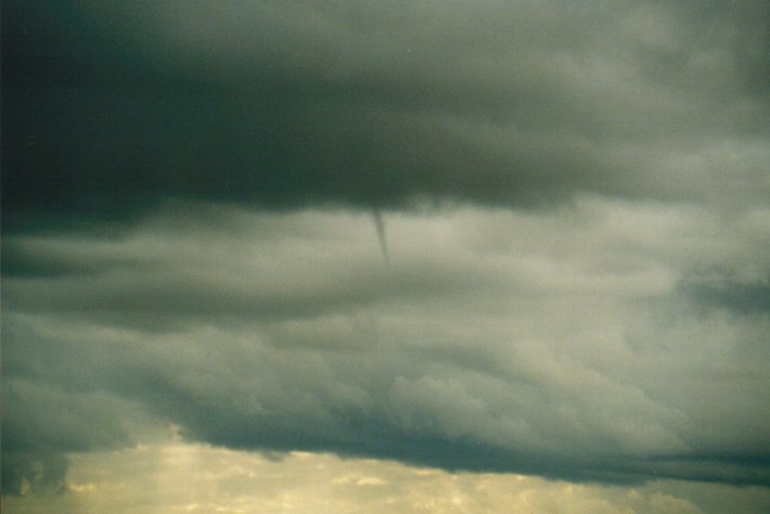 cumulonimbus thunderstorm_base : McLeans Ridges, NSW   16 June 2000