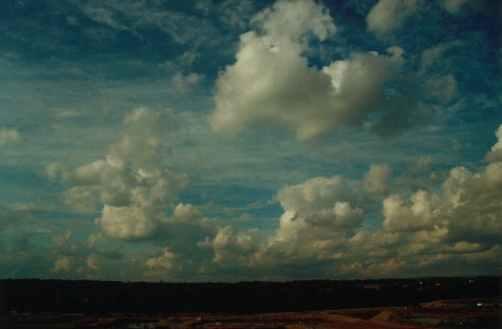 cumulus mediocris : Schofields, NSW   18 June 2000