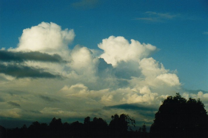 cumulus congestus : McLeans Ridges, NSW   26 June 2000