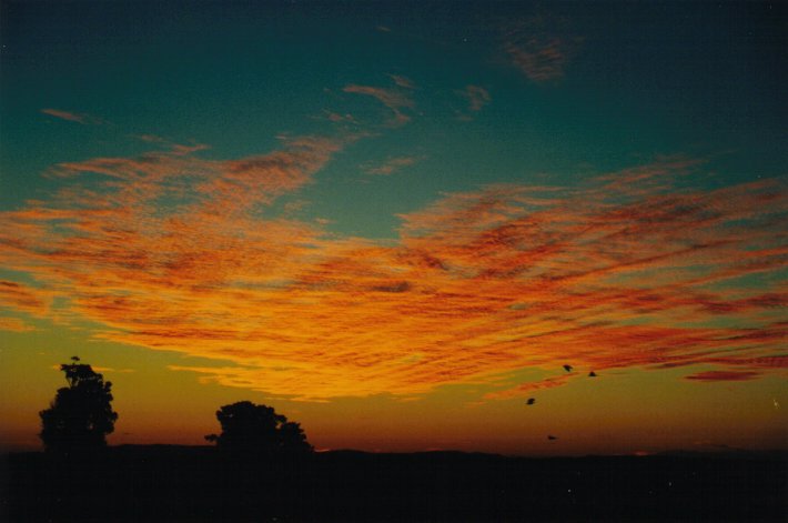 favourites michael_bath : McLeans Ridges, NSW   28 June 2000