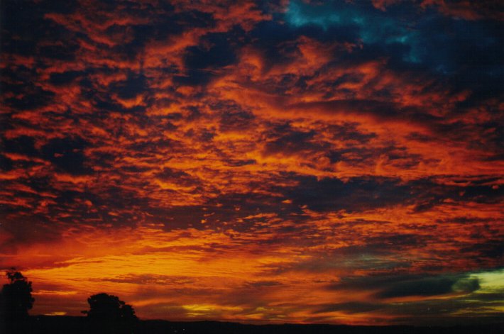 altocumulus altocumulus_cloud : McLeans Ridges, NSW   6 July 2000