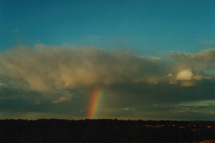 cumulus mediocris : Schofields, NSW   9 July 2000