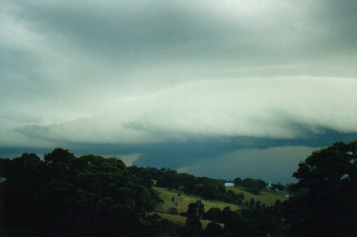 shelfcloud shelf_cloud : McLeans Ridges, NSW   9 July 2000