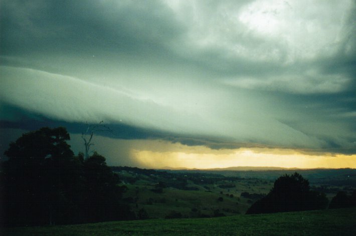 shelfcloud shelf_cloud : McLeans Ridges, NSW   9 July 2000