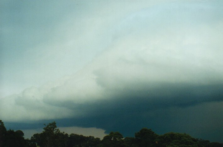 shelfcloud shelf_cloud : McLeans Ridges, NSW   9 July 2000