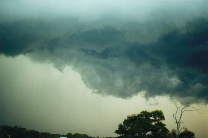 raincascade precipitation_cascade : McLeans Ridges, NSW   9 July 2000