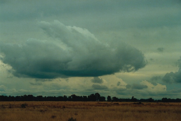 thunderstorm cumulonimbus_incus : Narrabri, NSW   10 July 2000