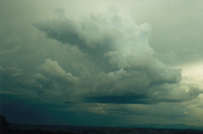 cumulus congestus : McLeans Ridges, NSW   10 July 2000