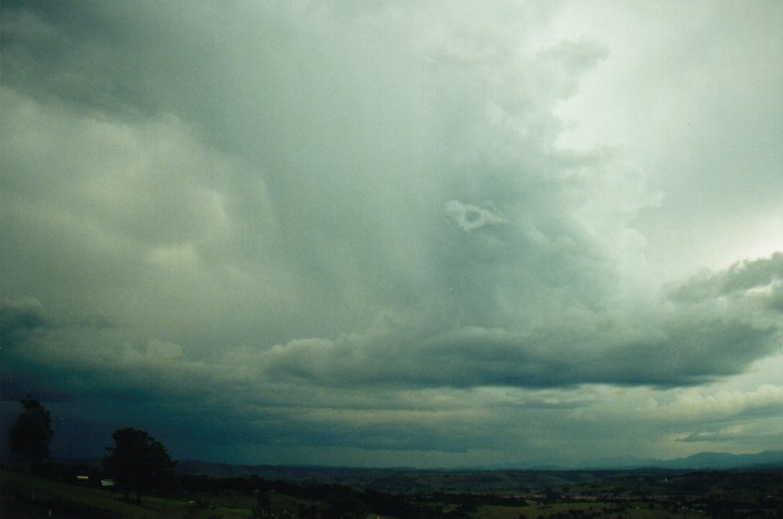 cumulonimbus thunderstorm_base : McLeans Ridges, NSW   10 July 2000