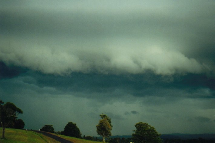 cumulonimbus thunderstorm_base : McLeans Ridges, NSW   10 July 2000