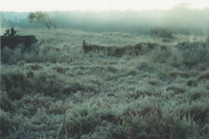 fogmist fog_mist_frost : Schofields, NSW   13 July 2000
