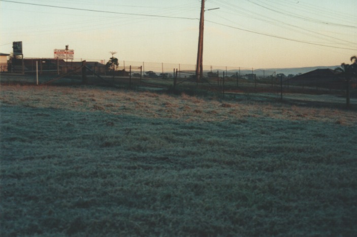 fogmist fog_mist_frost : Schofields, NSW   13 July 2000