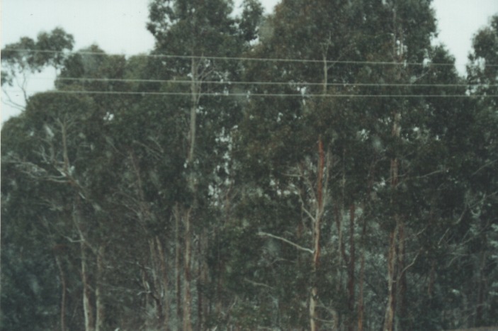 snow snow_pictures : Cherry Tree Hill, NSW   27 July 2000