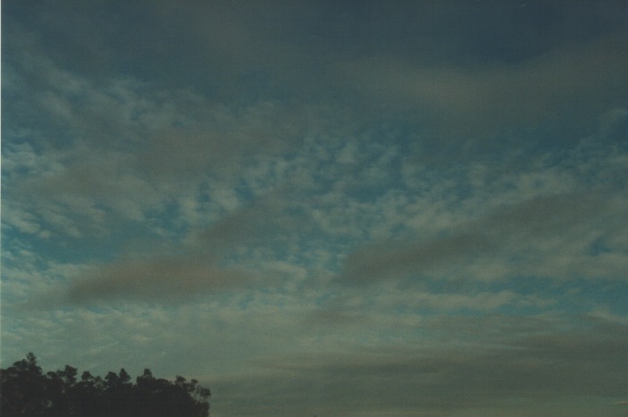 altocumulus altocumulus_cloud : Oakhurst, NSW   1 August 2000