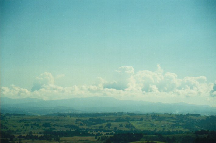 cumulus congestus : McLeans Ridges, NSW   2 August 2000