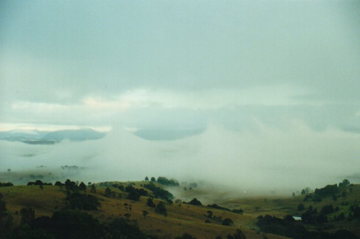 nimbostratus nimbostratus_cloud : McLeans Ridges, NSW   8 August 2000