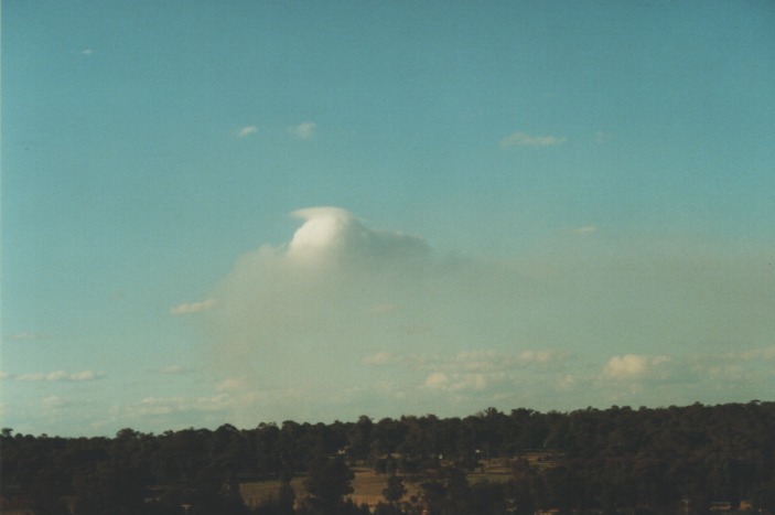cumulus pyrocumulus : Schofields, NSW   19 August 2000