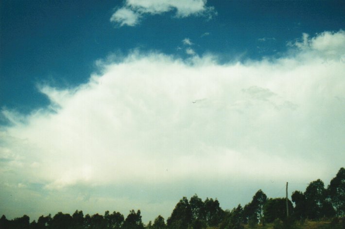 thunderstorm cumulonimbus_incus : McLeans Ridges, NSW   23 August 2000