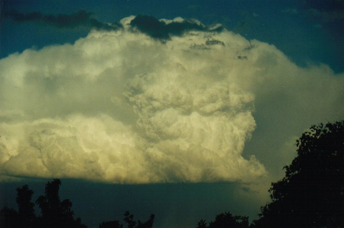 thunderstorm cumulonimbus_incus : McLeans Ridges, NSW   23 August 2000