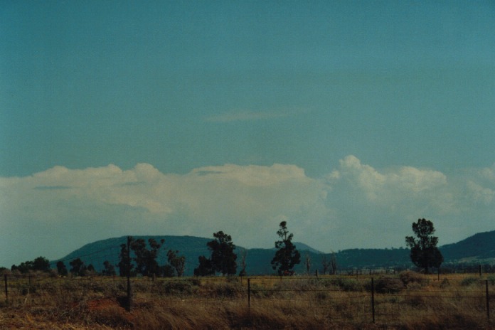 thunderstorm cumulonimbus_incus : Gunnedah, NSW   21 September 2000