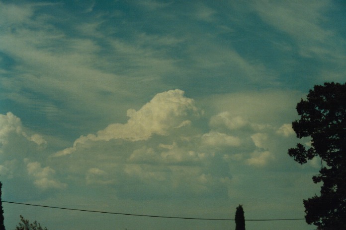 cumulus mediocris : Gunnedah, NSW   21 September 2000