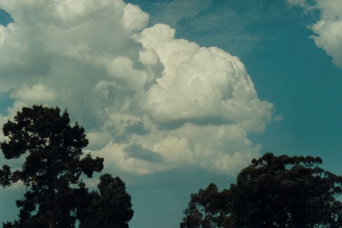 cumulus mediocris : Gunnedah, NSW   21 September 2000