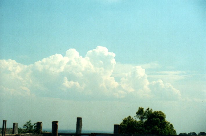 cumulus congestus : Tregeagle, NSW   27 September 2000